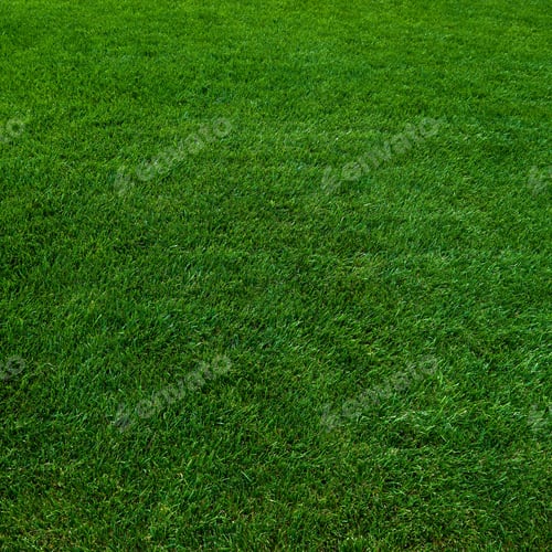 Preview: Background of a green grass. Green grass texture