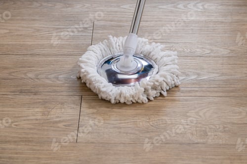 Preview: Two young professional housewives cleaning the house