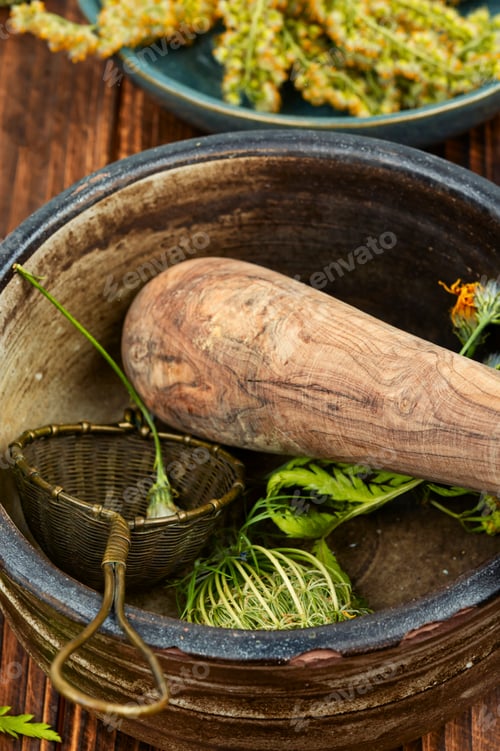 Preview: Medicinal herbs, alternative medicine.