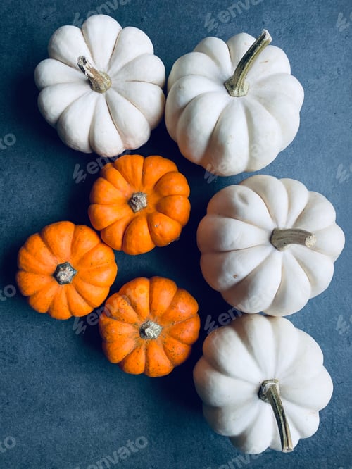 Preview: Pumpkin