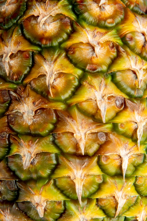 Preview: close-up view of pineapple thorns