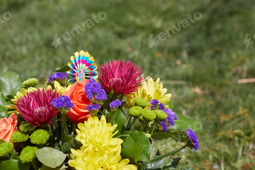 Preview: Bunch of colorful flowers at the Garden