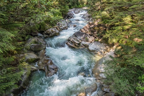 Preview: Clear Water Rushes Along On Denny Creek In Washington State.