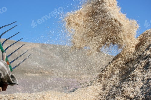 Preview: Harvest