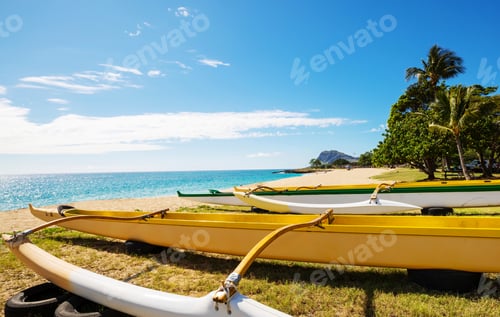 Preview: Hawaiian boats