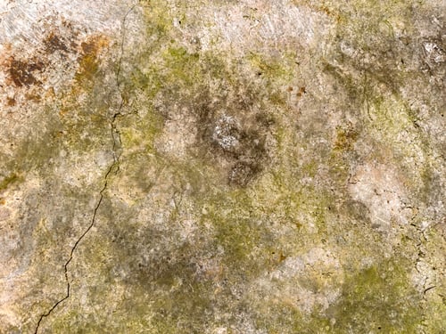 Preview: Textured Concrete with Green Moss and Cracks