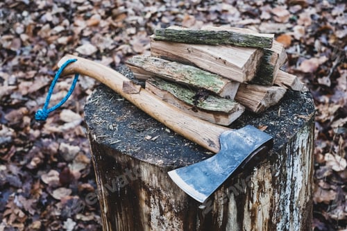 Preview: High angle close up of hatchet and wooden logs on chopping block.