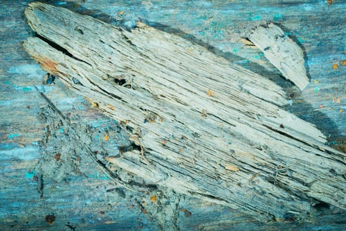 Preview: Texture- Tree Cracked Plywood. Watercolor Wood Structure.