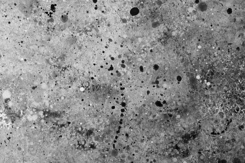 Preview: Unique abstract artwork created with ink splatters in black and white tones