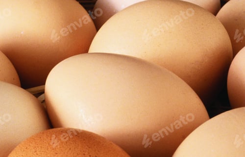 Preview: eggs background view
