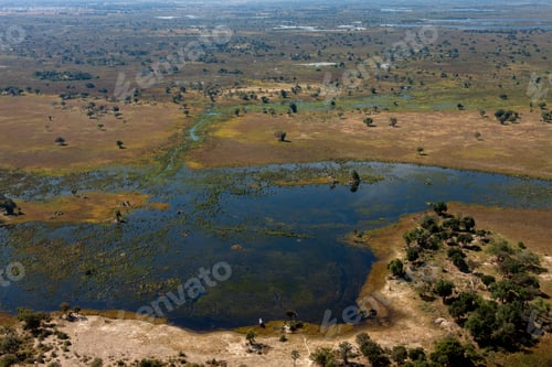 Preview: Okavango Delta - Botswana