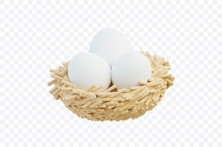 Preview: Bird Nest with Eggs