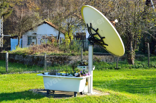 Preview: Large satellite dish antenna near a bath full of green plants in a yard