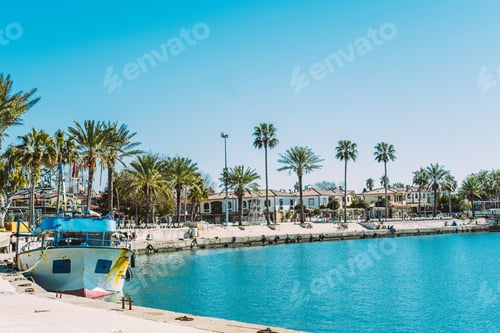 Preview: Beautiful sea promenade with boats and palm trees