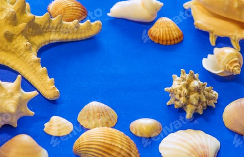 Preview: background for text, with shells for the concept of the sea, recreation, travel, peace,