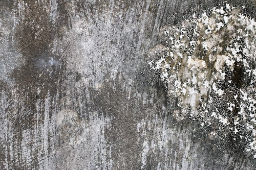 Preview: Light Gray Stucco Wall Texture. Abstract Background