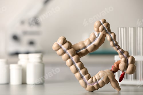 Preview: Anatomical model of large intestine near bottles with pills on table in clinic. Space for text