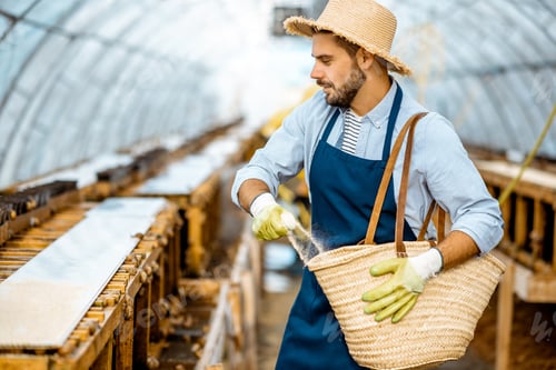 Preview: Man working on a farm for snail growing