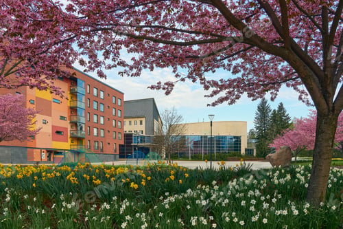 Preview: Attractions of Finnish Kerava.