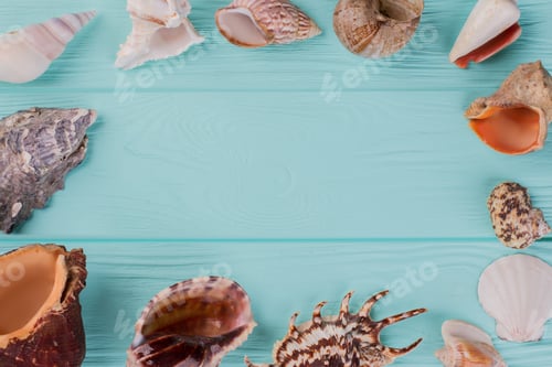 Preview: Along the perimeter are different sea shells on turquoise background.
