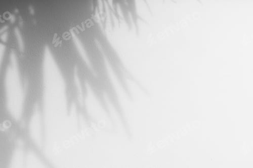 Preview: Shadow of leaves tree plant on concrete wall.