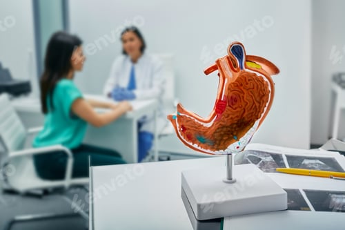 Preview: Gastroenterology. Gastroenterologist consultation, treatment of stomach diseases and ulcers