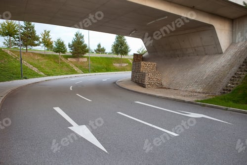 Preview: Painted arrows on road under bridge