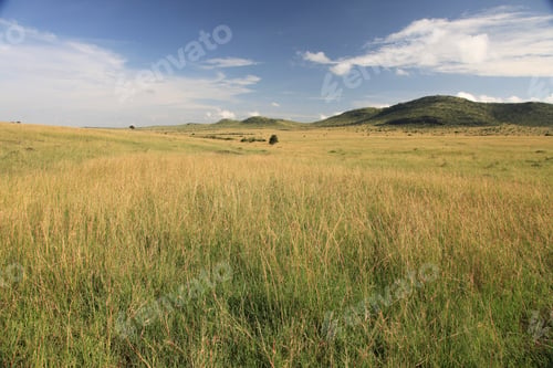 Preview: The Great Rift Valley - Maasai Mara - Kenya