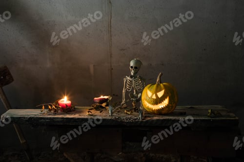 Preview: halloween background with jack'o'lanterns in the night
