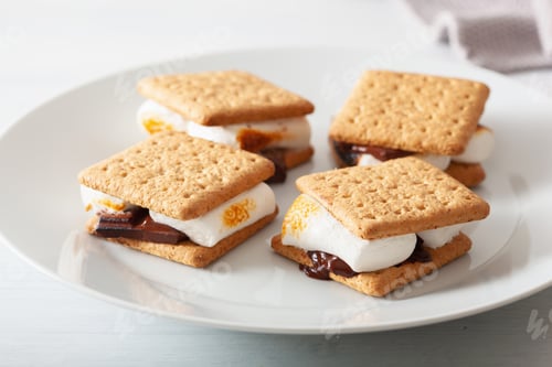 Preview: homemade marshmallow s'mores with chocolate on crackers