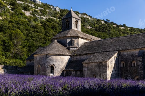 Preview: historic Abbey of Senanque and blooming lavender flowers, Gordes, Luberon, Provence