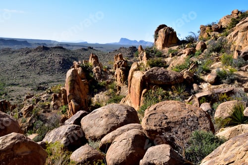 Preview: Hillside with soil and vegetation in sunlight, Big Bend National Park