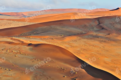 Preview: Patterns in the sand of the Namib