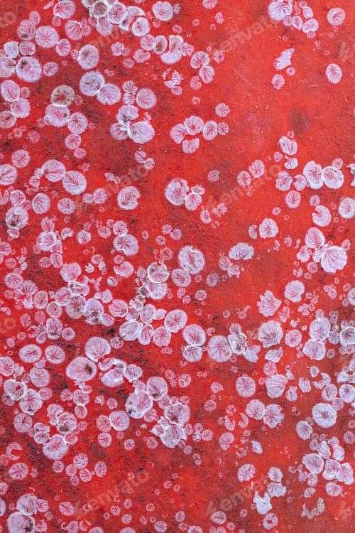 Preview: Natural abstract structure pattern on a orange buoy