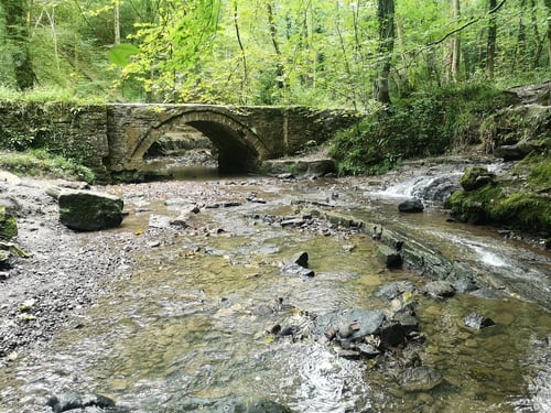 Preview: Landscape view of a bridge and water surrounded by forest. Ewloe