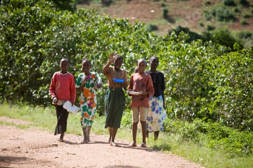 Preview: Group of African children walking together on a rural path surrounded by greenery.