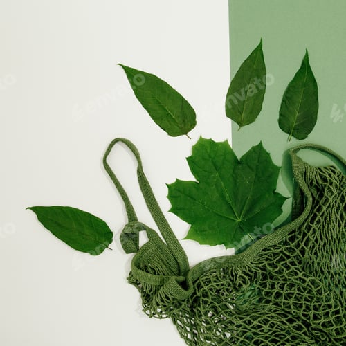 Preview: Minimalist fresh green scene