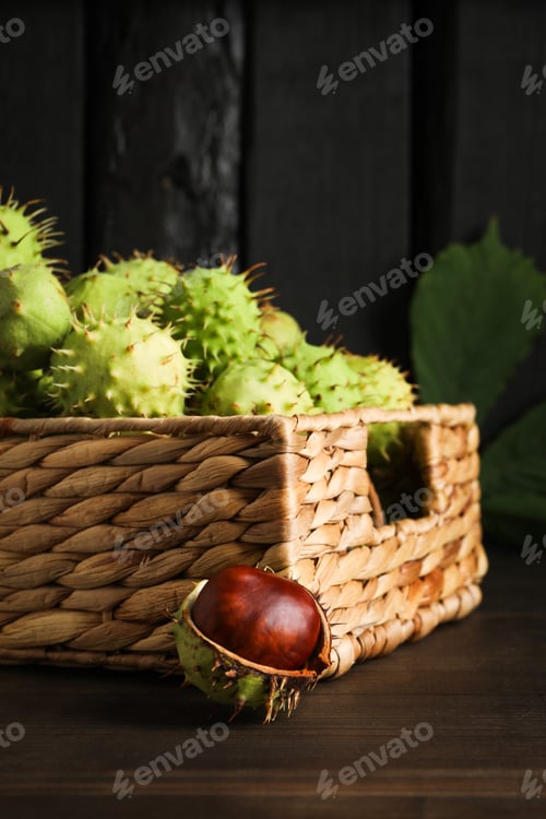 Preview: Fresh and ripe chestnuts, Autumn season chestnuts