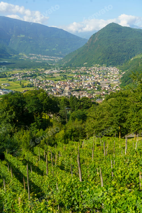Preview: Panoramic view of Valtellina from Ardenno at summer