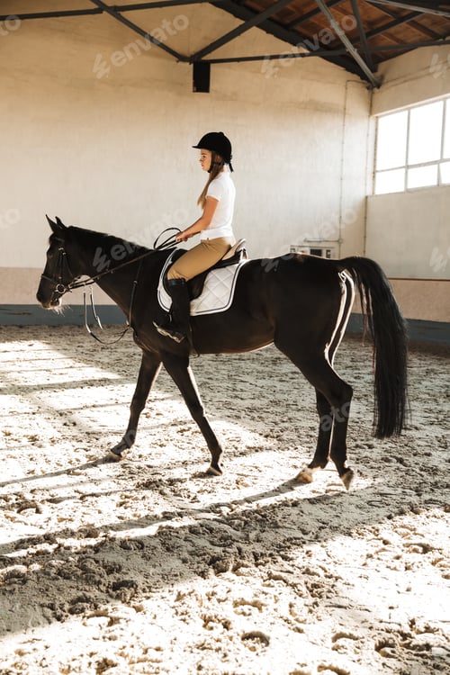 Preview: Beautiful woman wearing hat with horse
