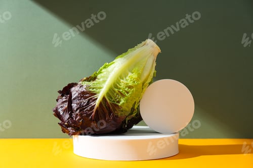 Preview: Concept of fresh and green food - lettuce