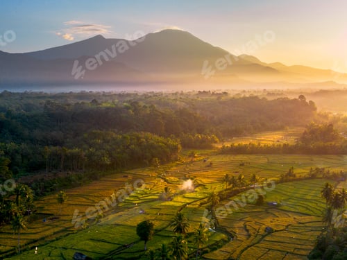 Preview: Beautiful morning view in Indonesia, panoramic landscape of rice fields with mountain
