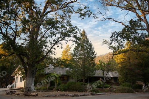 Preview: House in the desert in Twentynine Palms, CA