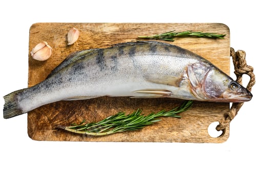 Preview: Raw pike perch, pikeperch fish. Fresh fish. Isolated on white background. Top view.