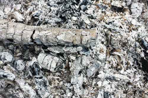 Preview: Burned Wood
