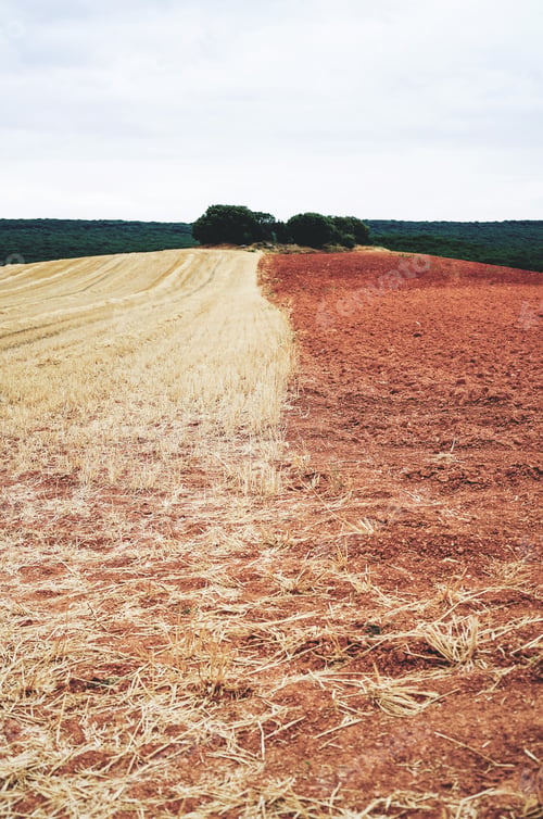 Preview: Agriculture field in Burgos after harvest