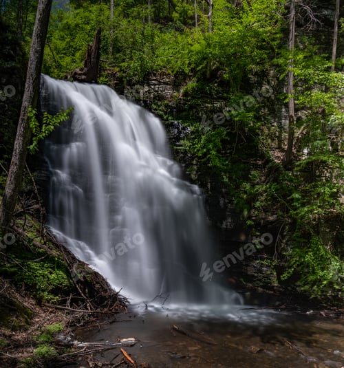 Preview: A Waterfall in a Forest