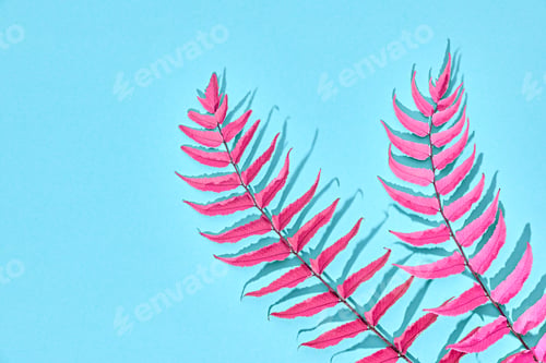 Preview: Leaves