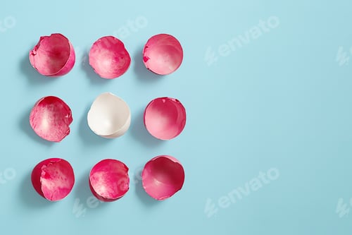 Preview: Pink and White Egg Shells on Blue Background