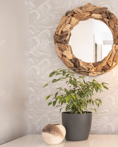 Preview: Home Style, Hallway and Plant